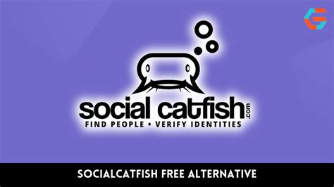 socialcatfish free alternative|Top 10 socialcatfish.com Competitors